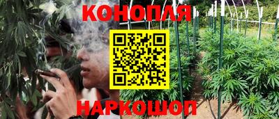 PSILOCYBIN Балашиха