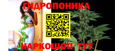 ГАЛЛЮЦИНОГЕННЫЕ ГРИБЫ Балахна