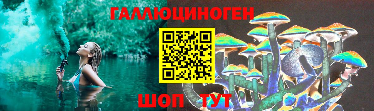 наркошоп  Вход с VPN  Елец  Галлюциногенные грибы Magic Shrooms  Галлюциногенные грибы Cubensis 