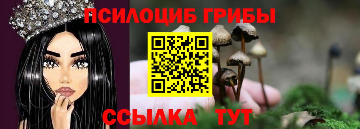 Псилоцибиновые грибы MAGIC MUSHROOMS Елец